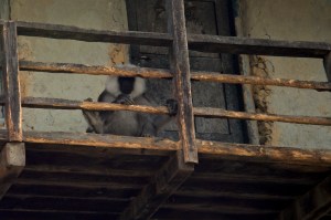 _DSC0102