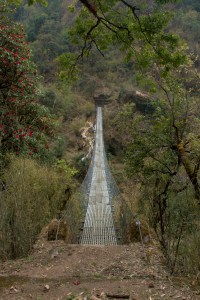 _DSC0114