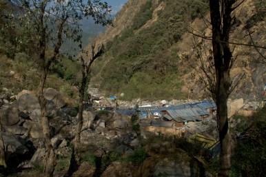 _DSC0133