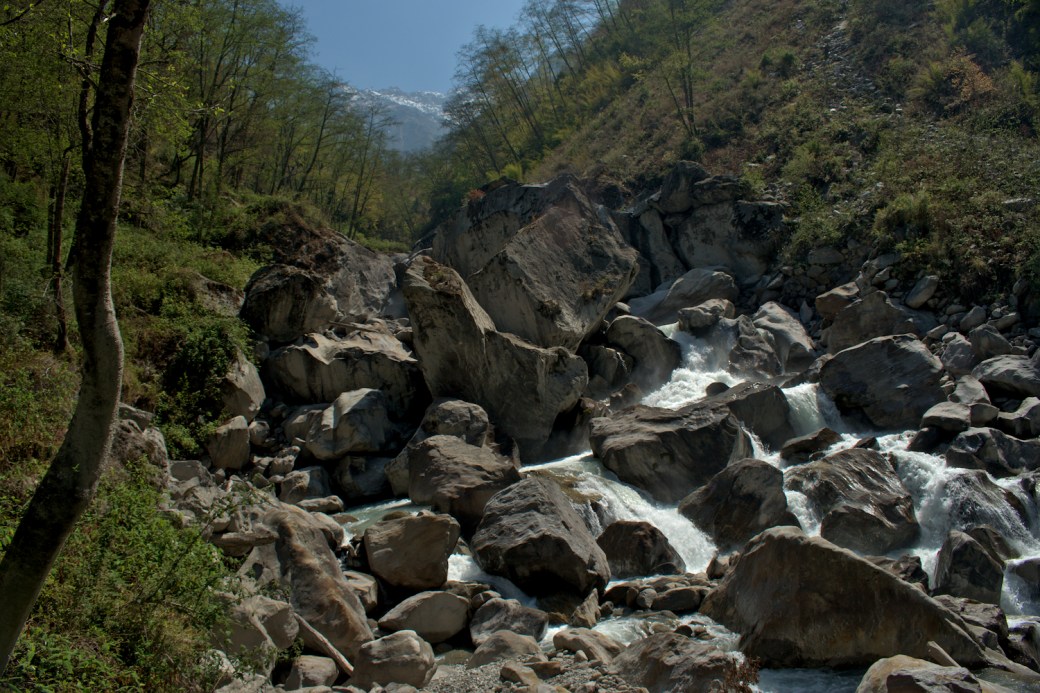 _DSC0151