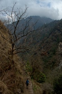 _DSC0162