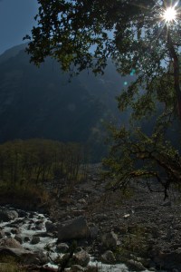 _DSC0193