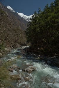 _DSC0230
