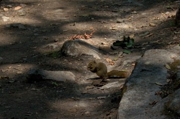 _DSC0243