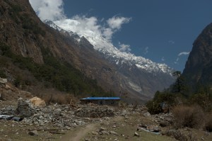 _DSC0246
