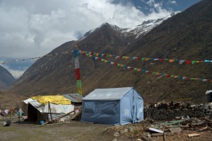 _DSC0272
