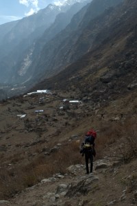 _DSC0284