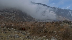 _DSC0325