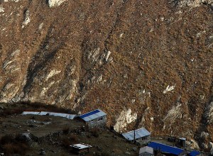 _DSC0333