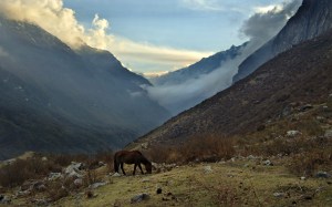_DSC0360