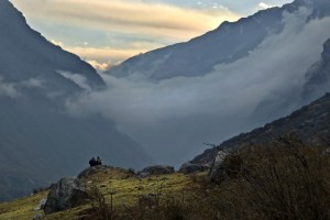 _DSC0361