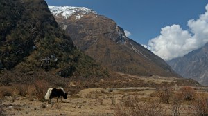 _DSC0452