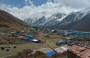 _DSC0529